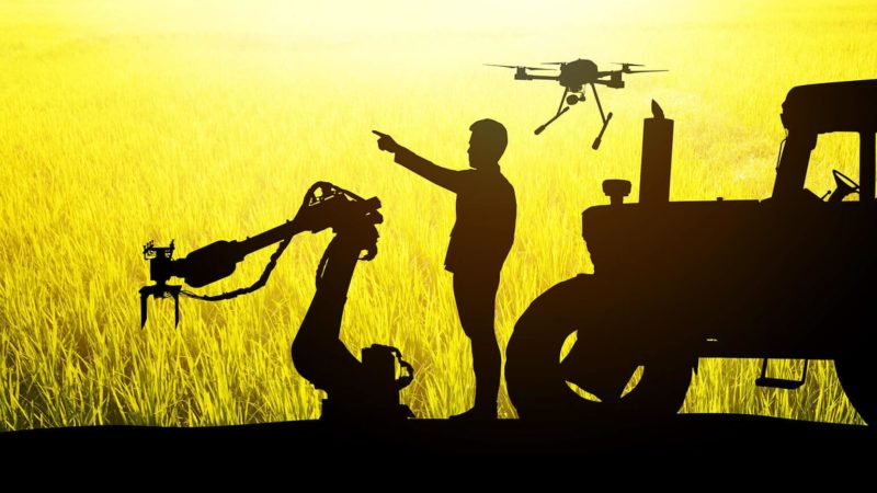 Landwirtschaft muss Di­gi­ta­li­sierung weiter forcieren