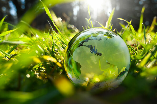 Die Weltkugel auf der grünen Wiese steht für Nachhaltigkeit im Unternehmen